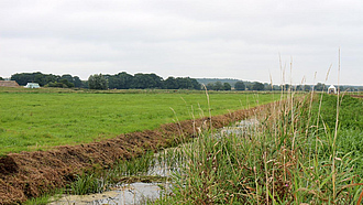 Entwässerungsgraben, neben einer landwirtschaftlichen Nutzfläche