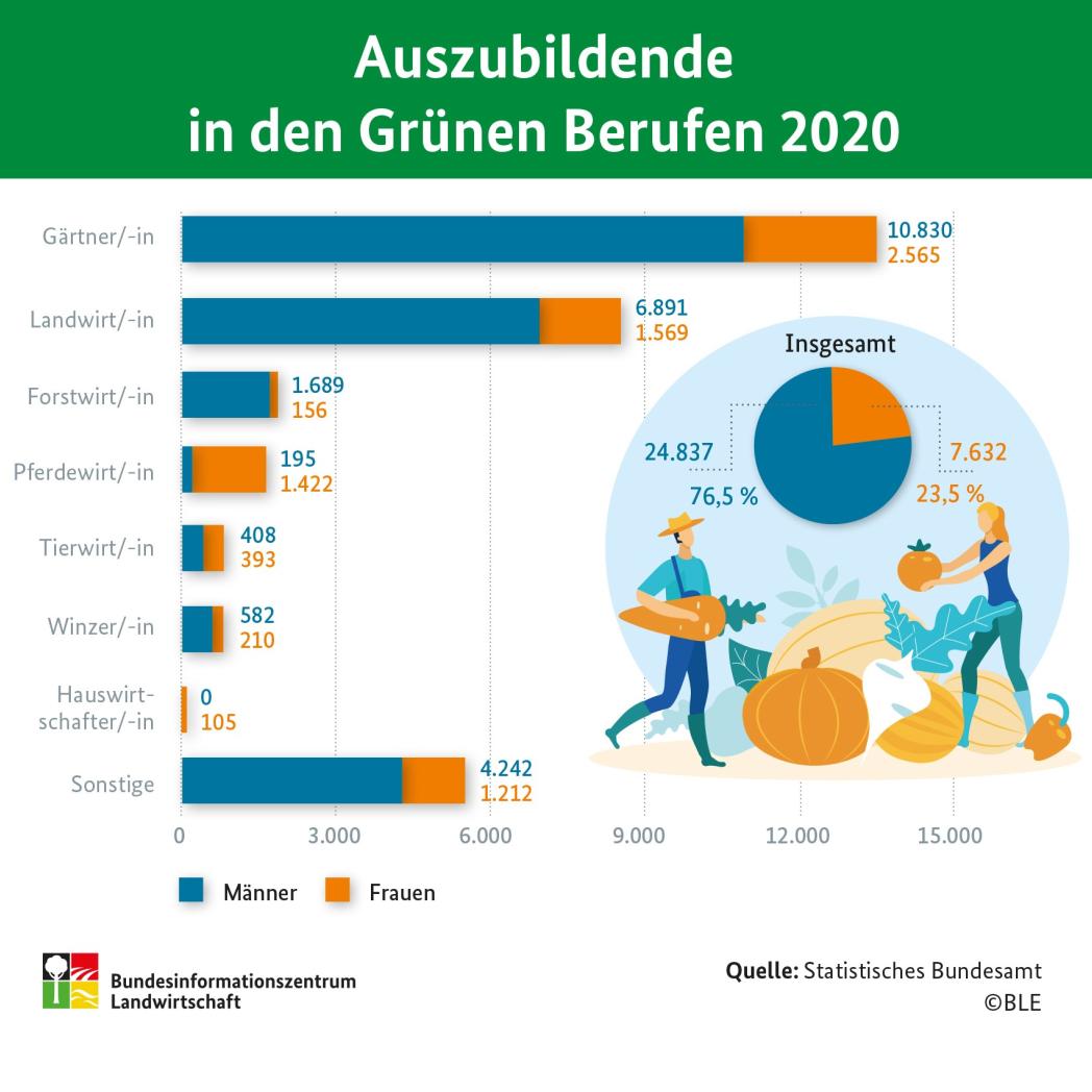 Infografik "Auszubildende in den Grünen Berufen 2020"