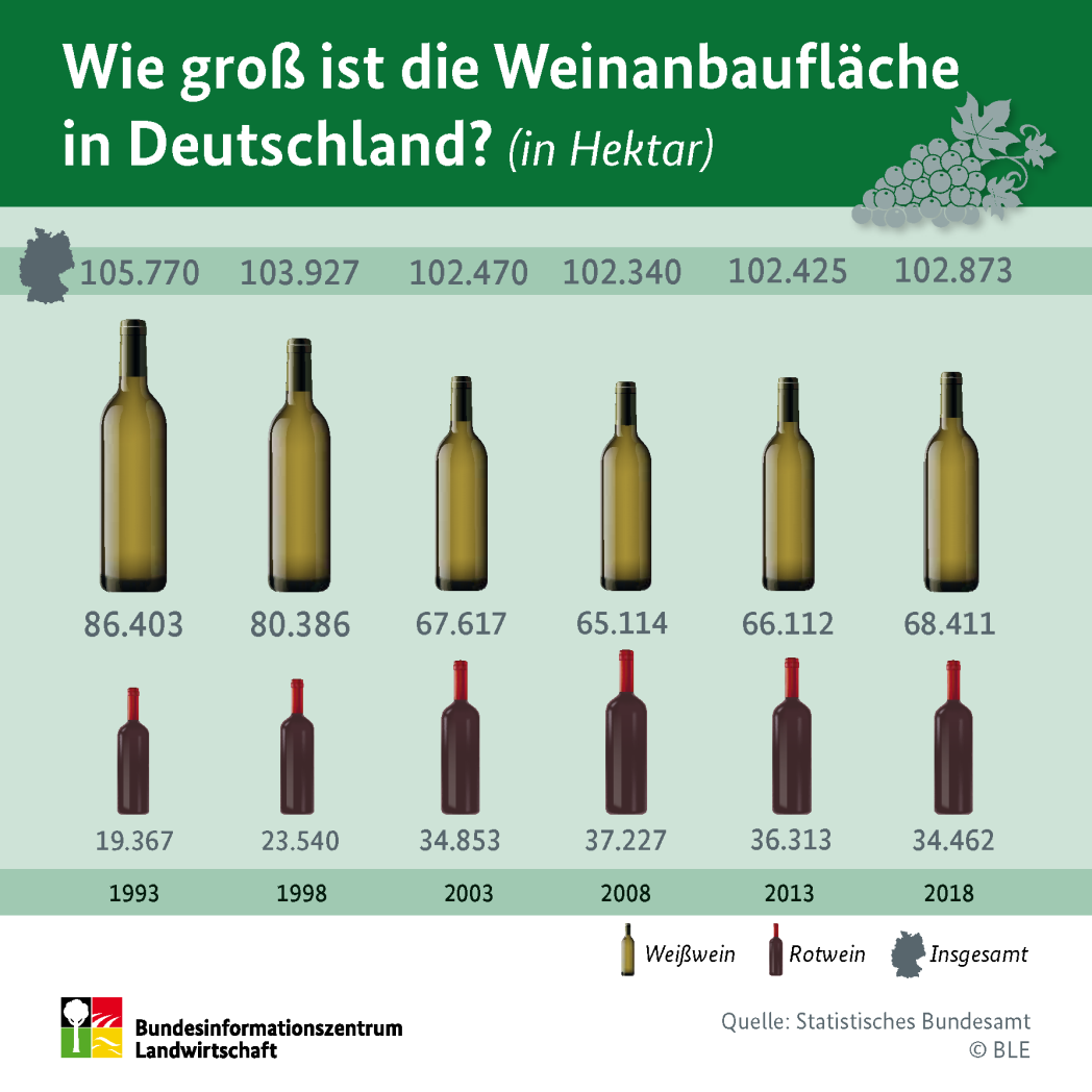 Infografik: Wie groß ist die Weinanbaufläche in Deutschland?