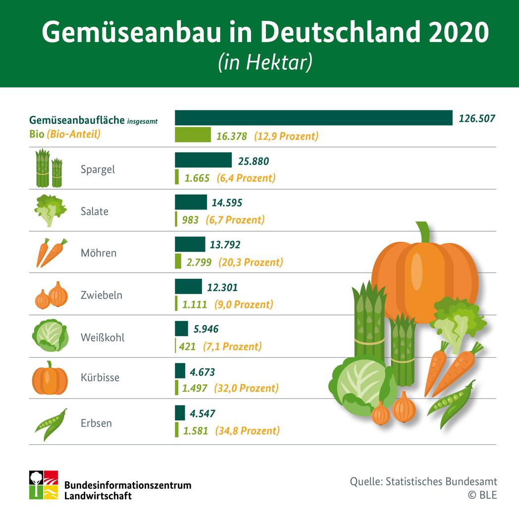 Infografik "Gemueseanbau in Deutschland 2020"