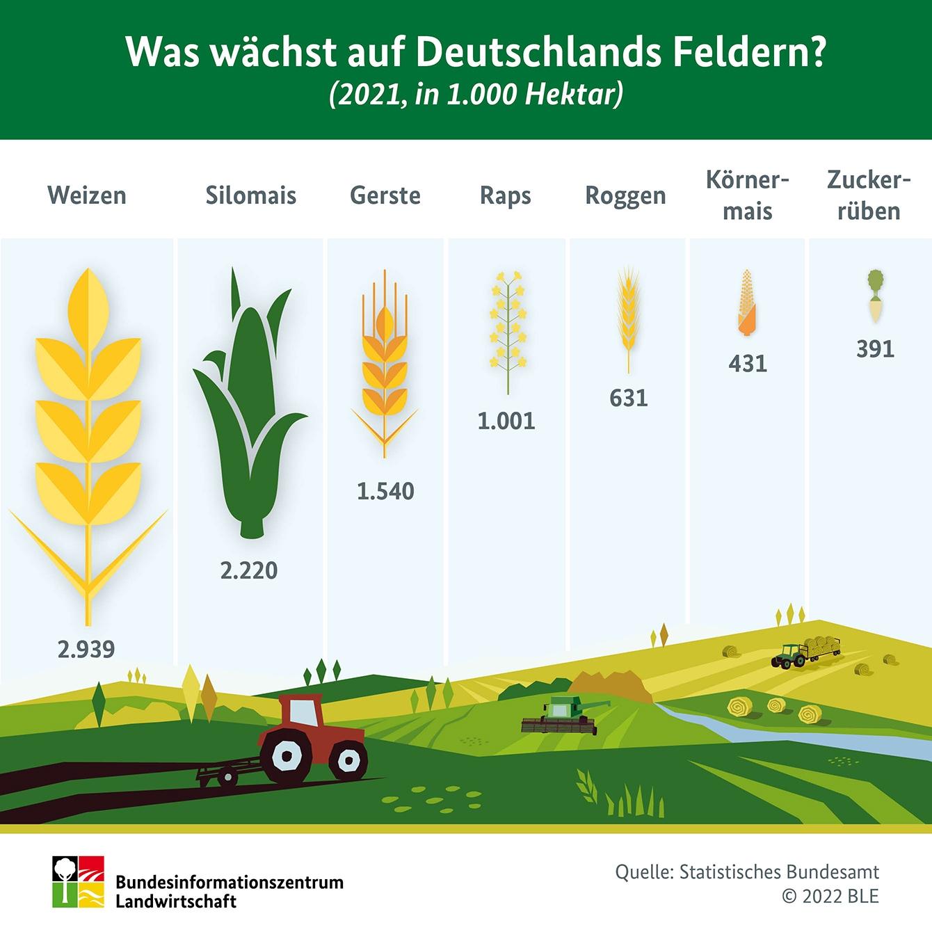 Bundesinformationszentrum Landwirtschaft: Infografiken