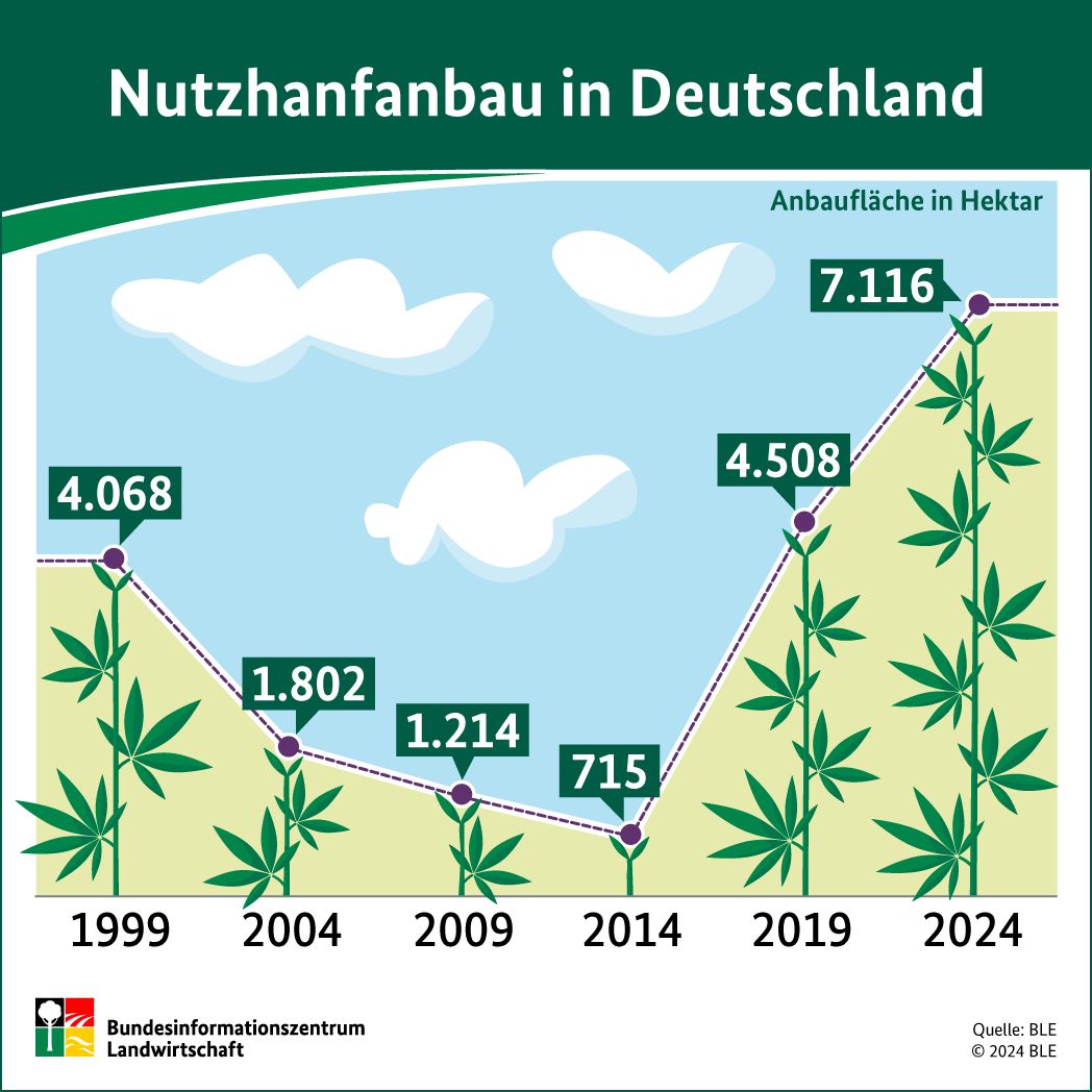 Infografik: Nutzhanfanbau in Deutschland