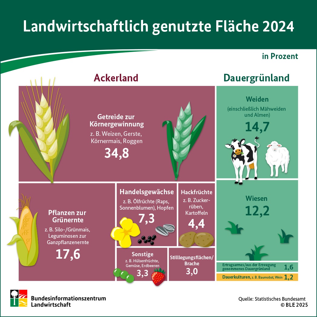 BZL-Infografik: Landwirtschaftlich genutzte Fläche 2024