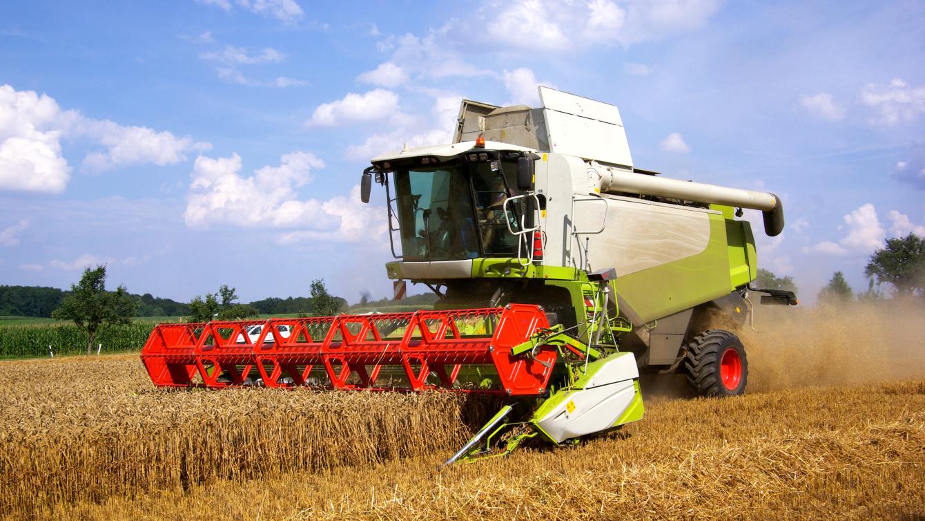 Ein Mähdrescher mit Häckselaggregat häckselt Stroh auf einem Feld.