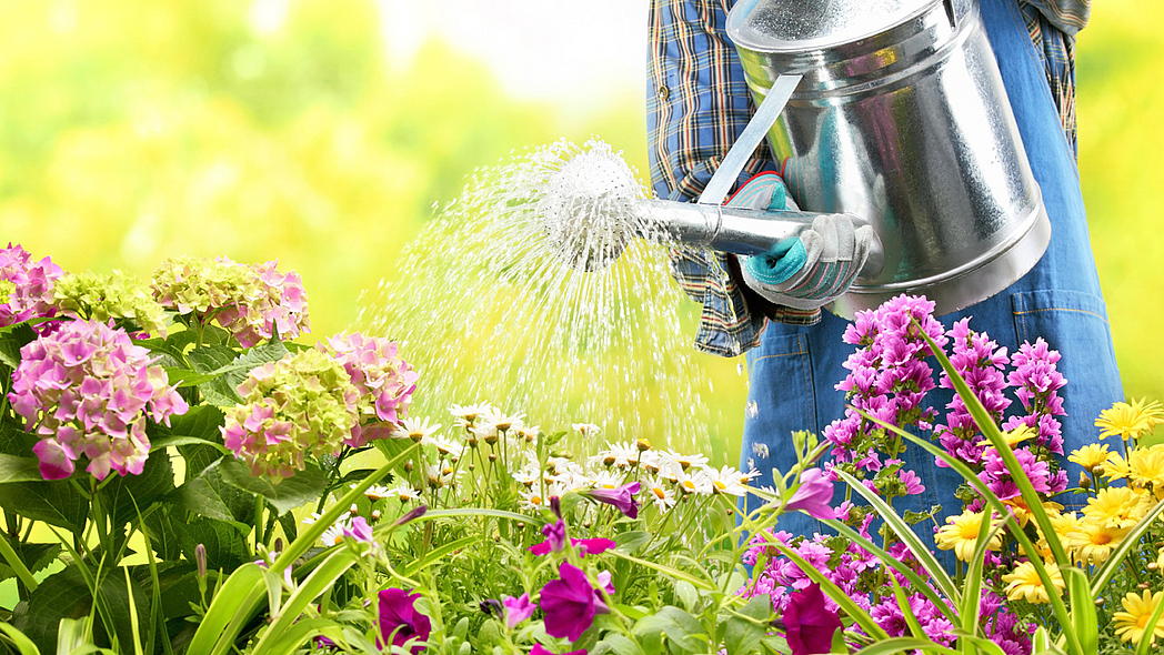 Blumenbeet wird per Gießkanne gegossen