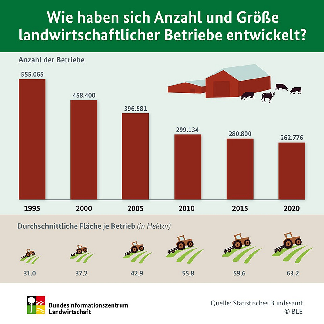 Infografik "Wie haben sich Anzahl und Größe landwirtschaftlicher Betriebe entwickelt?"