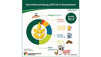 BZL-Infografik: Getreideverwendung 2023/24 in Deutschland