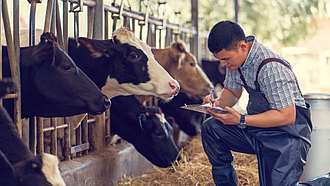 Landwirt im Rinderstall macht sich Notizen