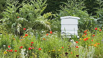 Weißer Bienenstock in einem bunt blühenden Garten.