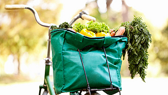 Einkaufstasche mit Gemüse auf einem Fahrradgepäckträger