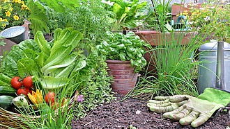 Verschiedene Gemüse und Kräuter auf einem Gartenbeet, geerntetes Gemüse im Korb, Gießkanne, Gartenhandschuhe und -werkzeuge.
