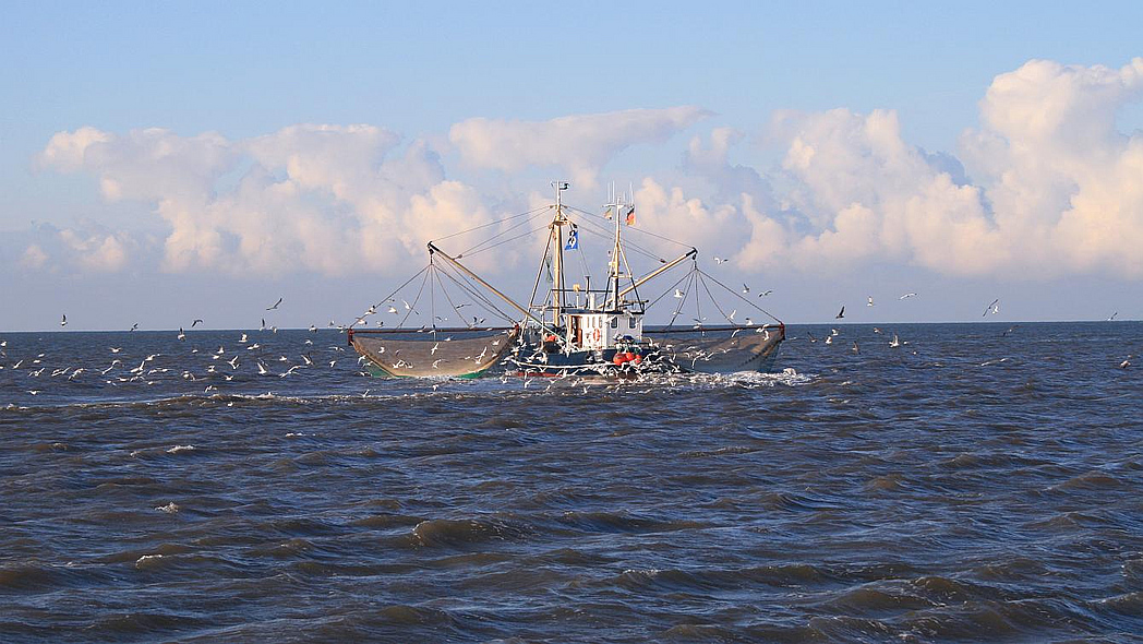 Ein Krabbenkutter auf dem Meer