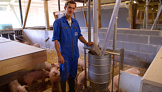 Schweinemäster mit Schweinen im Stall