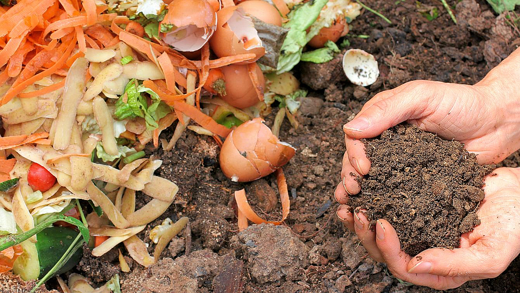 Im linken Bereich liegen diverse Essensreste, welche kompostiert werden sollen. Im linken Bereich zwei Hände, welche fertig kompostierte Erde halten.