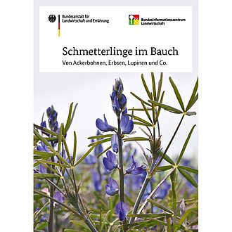 Cover der Broschüre "Schmetterlinge im Bauch"