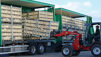 Ein Radlader lädt Kisten mit Masthühnern auf einen Transporter.