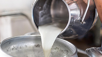 Milch wird aus einer Kanne in einen Behälter geschüttet