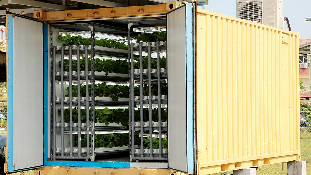 Container mit Pflanzenregalen mit Beleuchtungs- und Bewässerungssystem