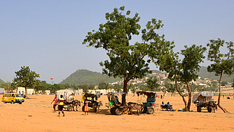 Staubiger Platz in Eritrea, mit ein paar Bäumen und Eselkarren