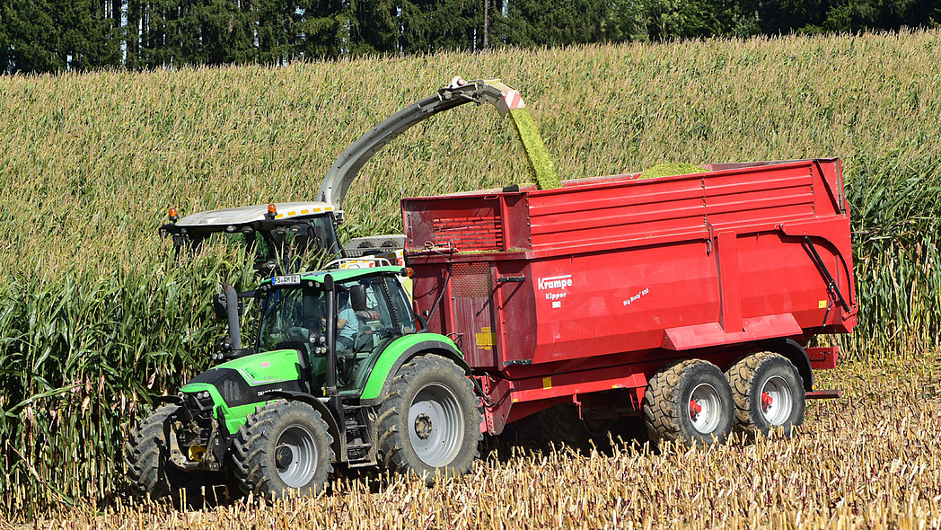 Maisernte mit Schlepper und Anhänger Maisernte mit Schlepper und Anhänger