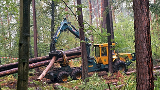 Waldarbeiten mit schwerem Gerät