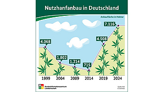 Infografik: Nutzhanfanbau in Deutschland