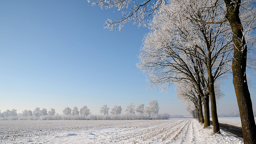 Acker bedeckt mit Schnee