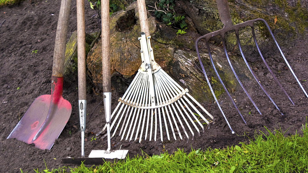 Schaufel, Hacke, Schuffel, Rechen und Grabegabel lehnen an einem Baumstamm