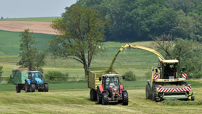 Silieren des ersten Grasschnitts im Frühjahr. Grasschwaden werden vom Pikup des Krone-Feldhäckslers BigX aufgenommen und in einen mitfahrenden Traktor-Hängergespann gehäckselt.