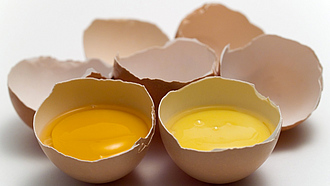 Aufgeschlagene Eier in der Schale