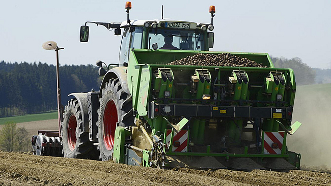 Traktor mit vierreihigem Kartoffel-Pflanzautomat und Grubber mit Walze beim Kartoffellegen