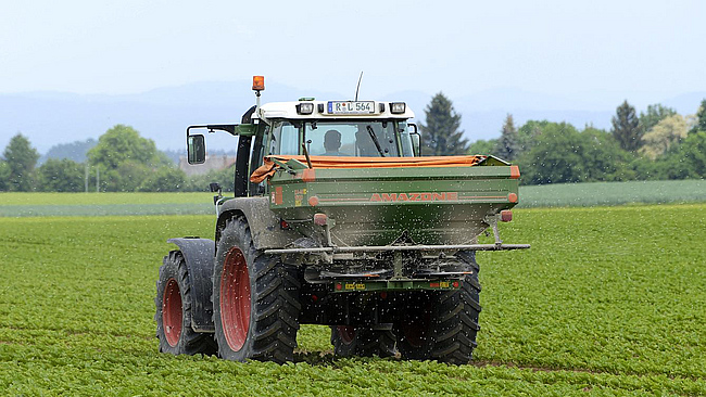 Traktor bei der Zuckerrübendüngung auf einem Zuckerrübenfeld