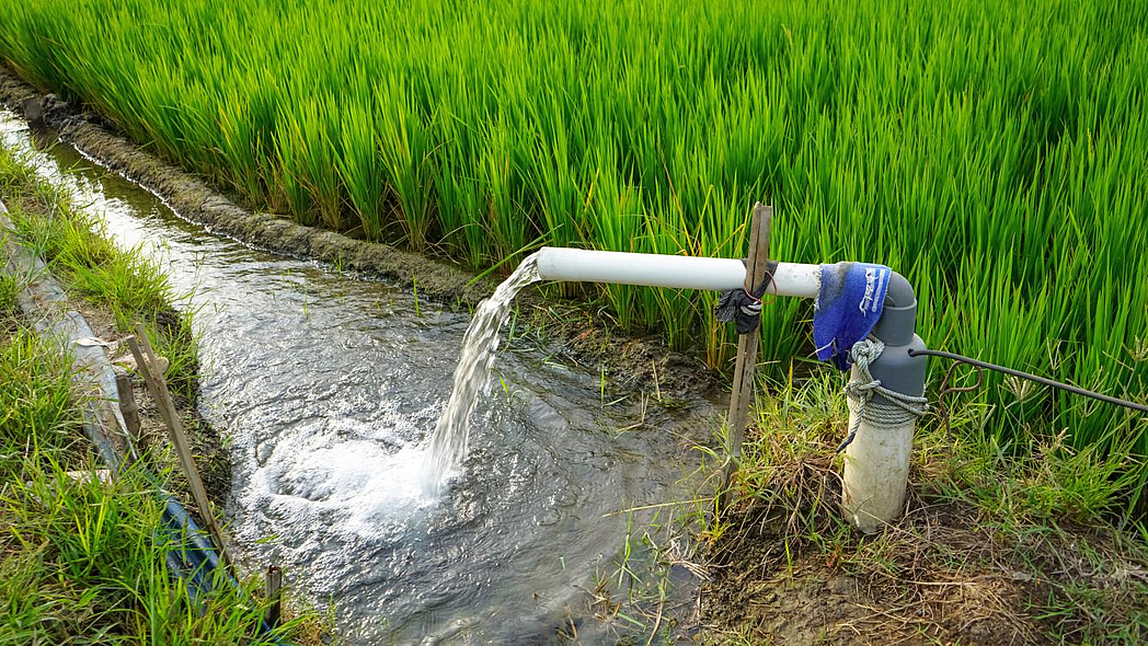 Wasser läuft auf einer Pumpe in einen Graben eines Reisfeldes.