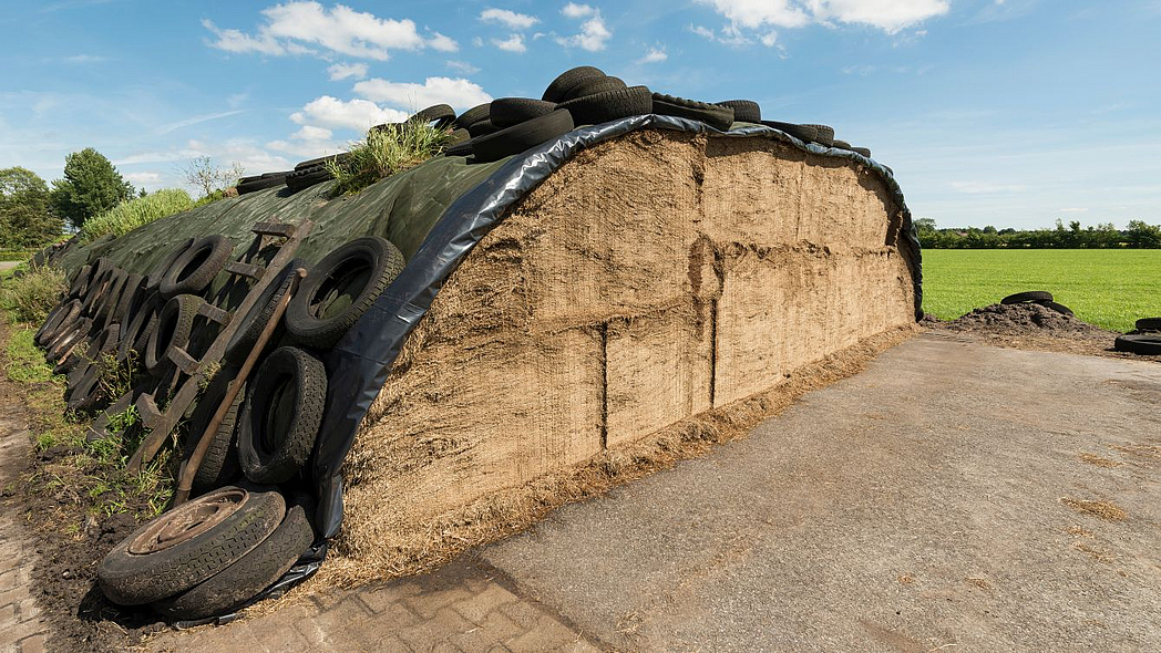 Fahrsilo mit Grassilage, einseitig geöffnet, mit schwarzer Folie und Reifen bedeckt.