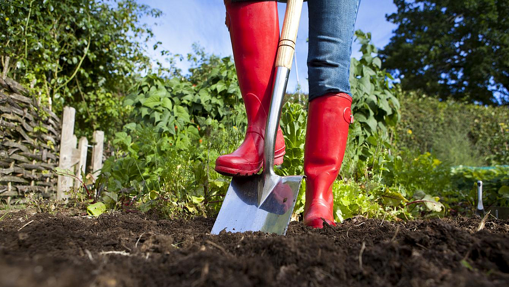 Person mit roten Gummistiefeln tritt einen Spaten in die Erde.