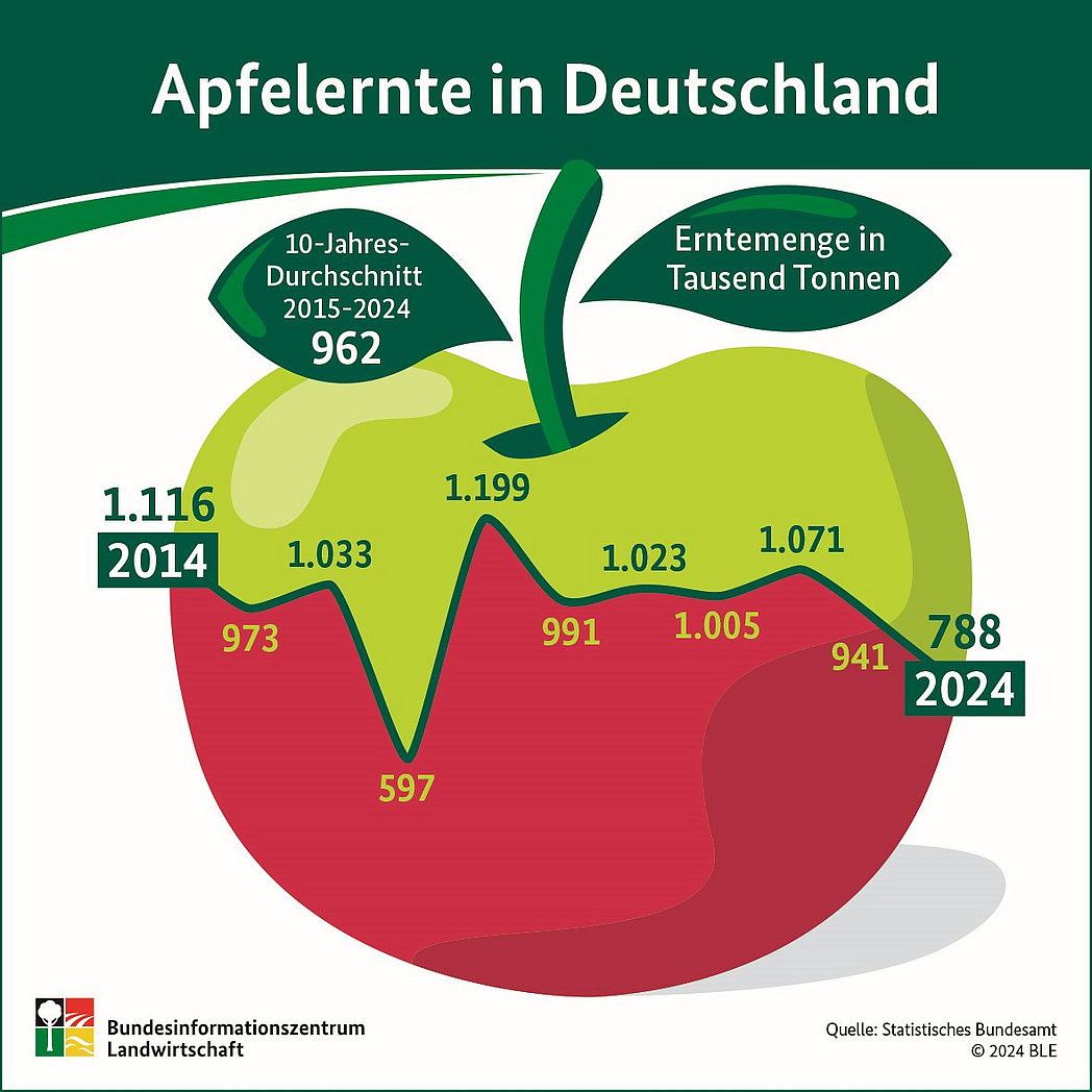 BZL-Infografik: Apfelernte in Deutschland